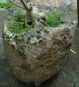 morepic-5